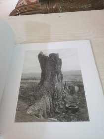 Robert Adams: Cottonwoods 罗伯特亚当斯: 白杨
