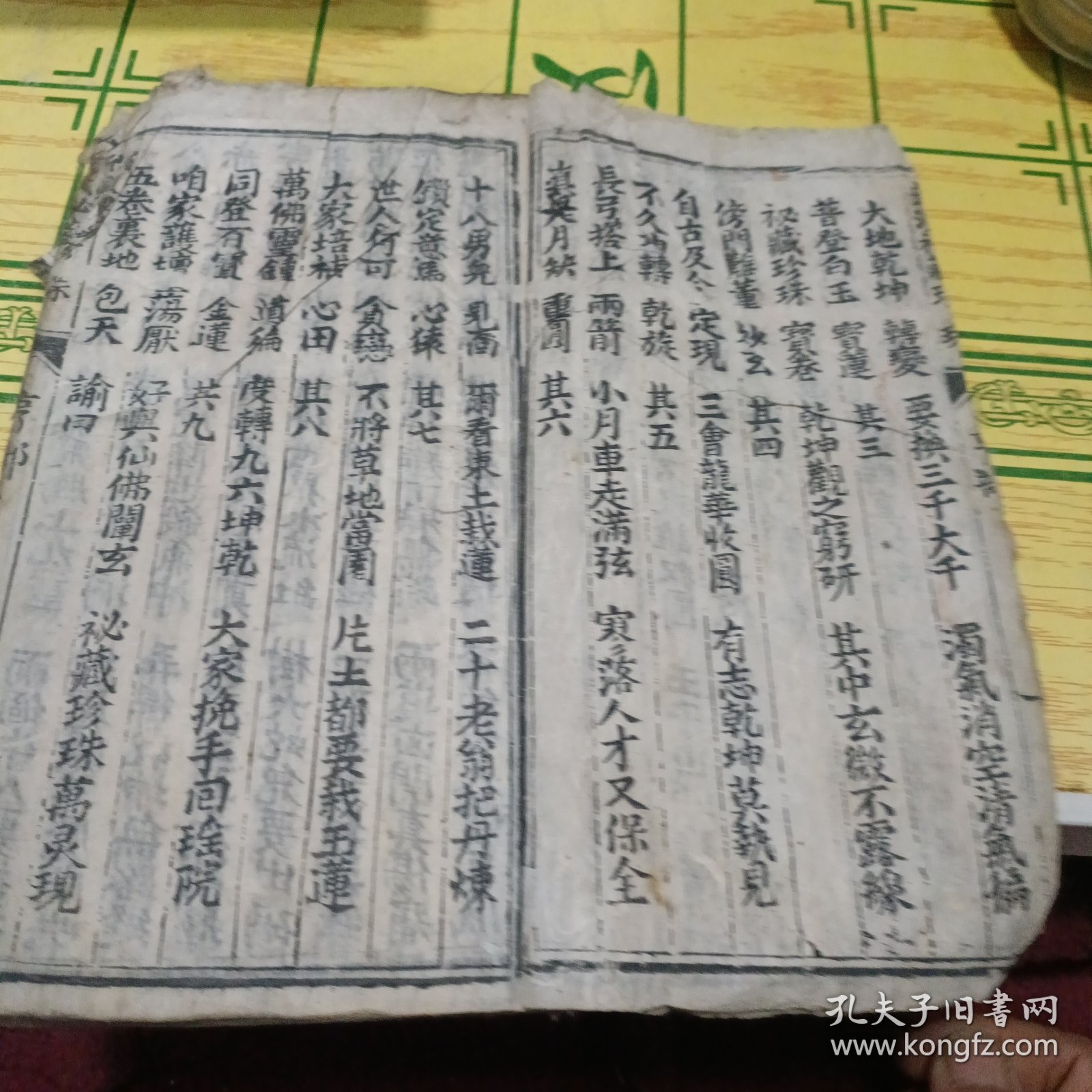 新演秘藏珍珠亨部