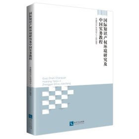 国际知识产权环境研究及中国实务教程