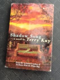 Shadow Song a novel by Terry Kay