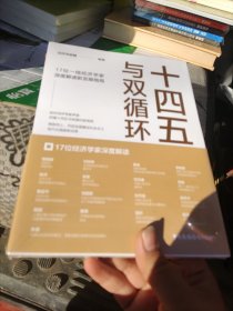 十四五与双循环:17位一线经济学家深度解读新发展格局（国内大循环国内国际双循环）