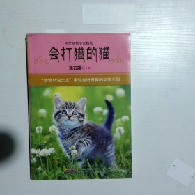 会打猎的猫