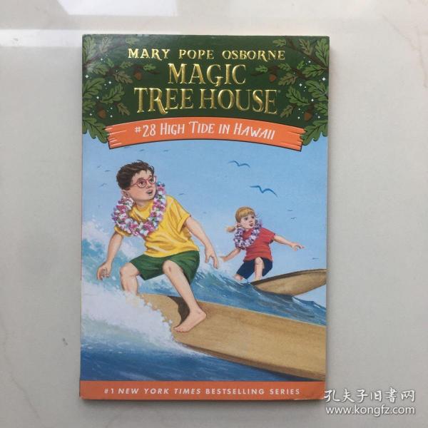 High Tide in Hawaii (Magic Tree House #28)  神奇树屋28：夏威夷海浪