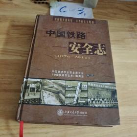 中国铁路安全志:1876~2011