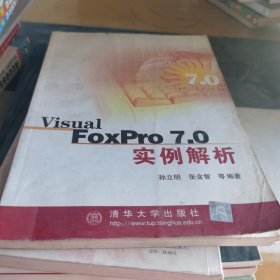 Visual FoxPro 7.0实例解析