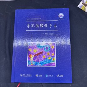 AME科研时间系列医学图书010 单孔胸腔镜手术