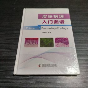 皮肤病理入门图谱