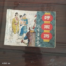 《呼家将》之十冯家店救母
