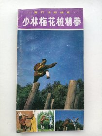 少林梅花桩精拳