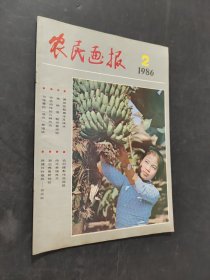 農(nóng)民畫報(bào)