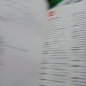 领跑中考物理2024年四川专版(样书专用)