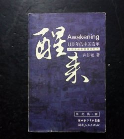 醒来：110年的中国变革