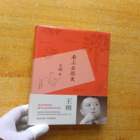 看上去很美 精装【内页干净】