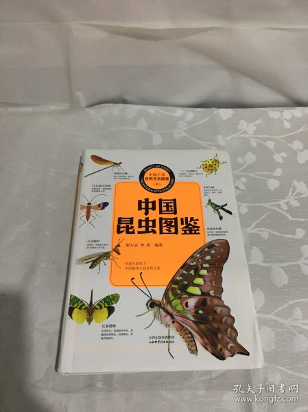 中国昆虫图鉴