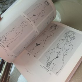 席勒·速写全集