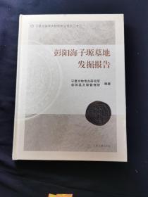 宁夏文物考古研究所丛刊之二十二：彭阳海子塬墓地发掘报告