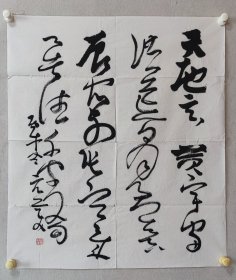 胡抗美书法老软片