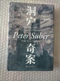 洞穴奇案 法哲学专业领域寓言式的经典文献，优秀跨学科通识教育的理想读本