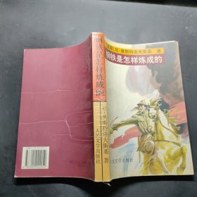 钢铁是怎样炼成的