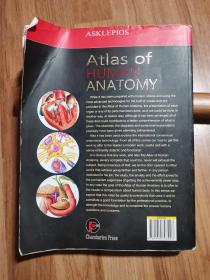 Atlas of Human Anatomy《人体解剖学图谱》2015年