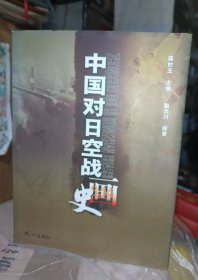 中国对日空战画史（16开精装，铜版彩印）原价580元