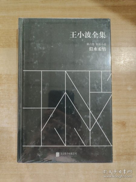 王小波全集（第六卷 短篇小说）：似水柔情