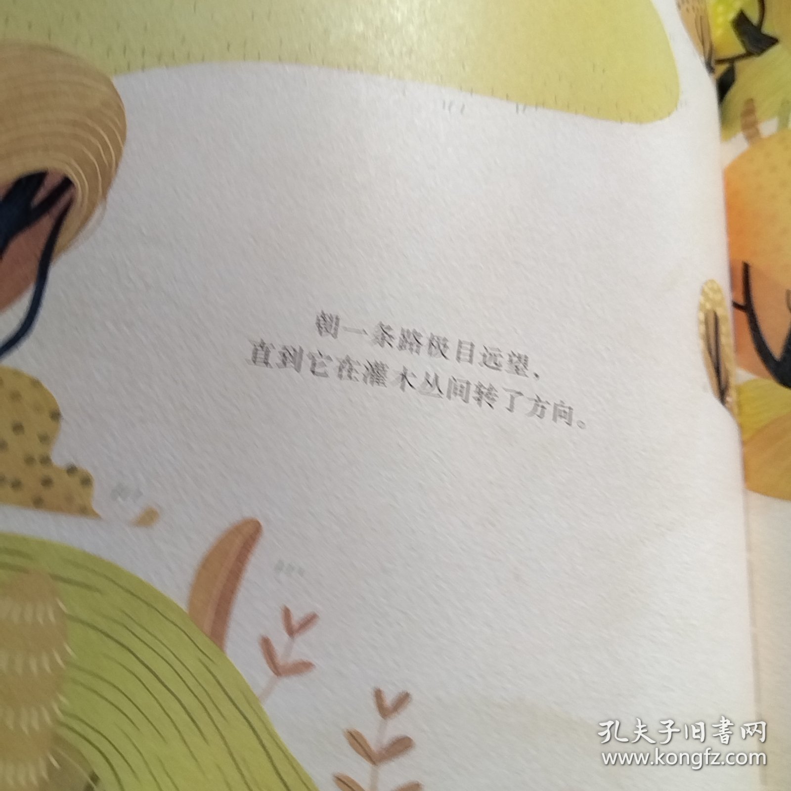 新蕾精品绘本馆——未选择的路