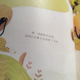 新蕾精品绘本馆——未选择的路