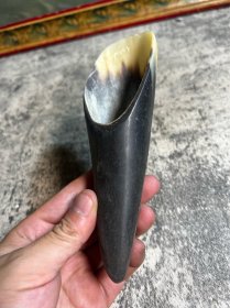 天然老牛角刮痧器一只5