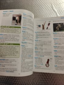 Longman Elem Dictionary &amp;amp; Thesaurus (Hc)[朗文初级辞典]