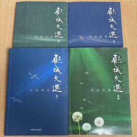 顾城文选全套四卷1500页 自传 采访 讲演 散文随笔 小说 诗歌 等 纯正版！！！