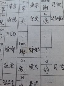 小学语文字词钢笔规范字帖