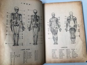 浙江美术学院编撰教材 人体结构书籍