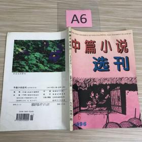 中篇小说选刊1996年6