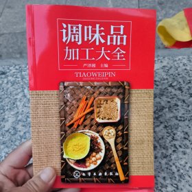 调味品加工大全