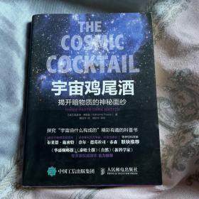 宇宙鸡尾酒：揭开暗物质的神秘面纱