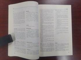 英汉双解网络词典（馆藏，近全新）