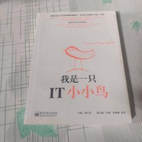 我是一只IT小小鸟