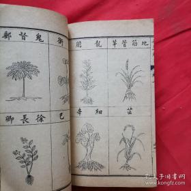 《本草纲目》 五十二卷 图三卷 奇经八脉《本草纲目拾遗》十卷 附《万方针线》八卷 （二函一十六册）（医学）