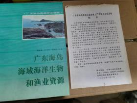 广东海岛海域海洋生物和渔业资源