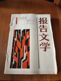 报告文学（1985-1-4）