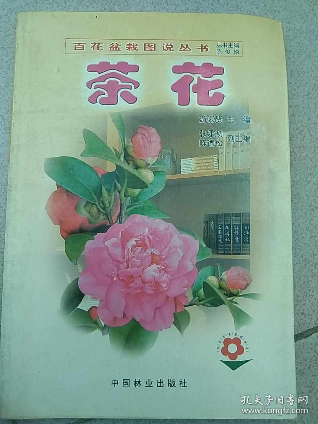 百花盆栽图说丛书:茶花