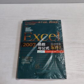 Excel 2007函数与公式实战技巧精粹