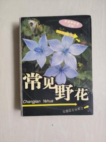 中国林业版《常见野花》，大自然珍藏系列，64开全彩印刷，详见图片及描述