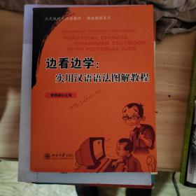 北大版对外汉语教材·语法教程系列：边看边学（实用汉语语法图解教程）