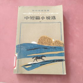 中短篇小说选 一