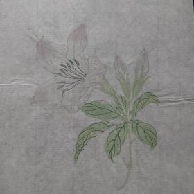 木刻水印 信箋纸 套色印刷 花卉图13