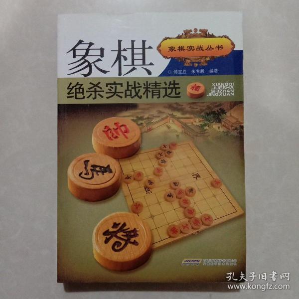 象棋战术技巧丛书：象棋绝杀实战精选