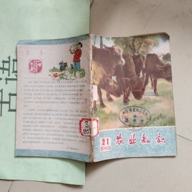 农业知识1963年 21【有栖霞香水梨的介绍】