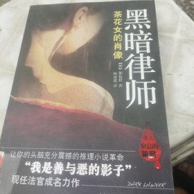 黑暗律师：茶花女的肖像：黑暗律师系列第二部